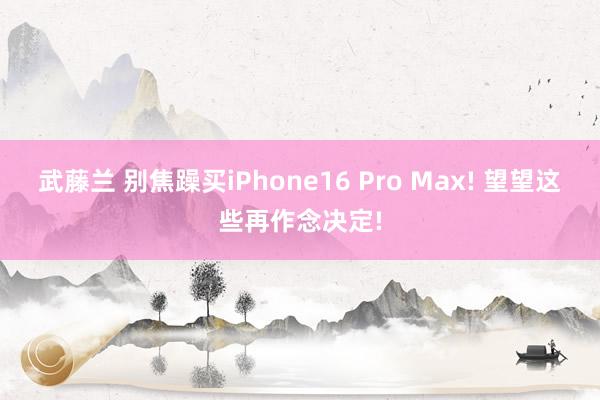 武藤兰 别焦躁买iPhone16 Pro Max! 望望这些再作念决定!